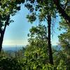 Santa Cruz Mountains and Pacific Ocean, are seen through the trees along Bacon Trail.