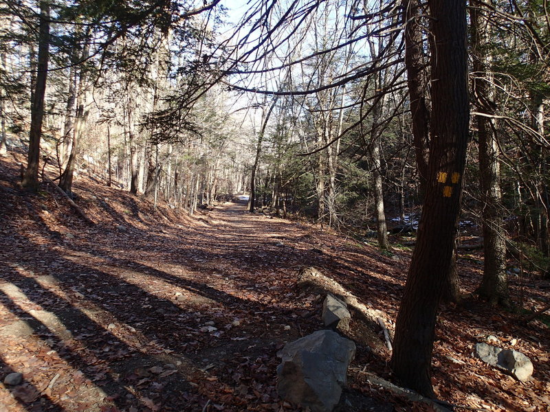 Trail junction with Old Coal Trail