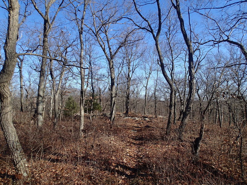 Just after the trail splits from the Highland Trail