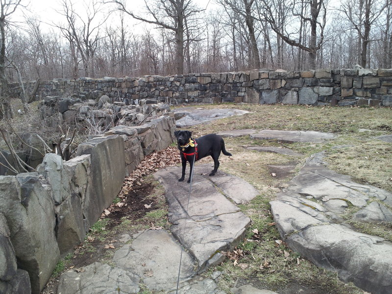 Lovely day on the trails.