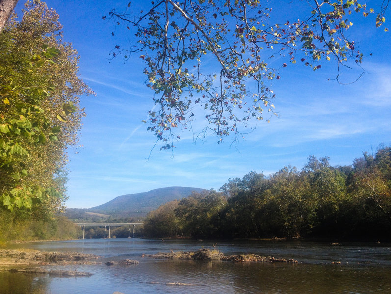 Downstream view from the river access at Whitt Riverbend Park