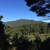 A view of the valley from the overlook at the halfway point.