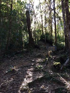Caution: this is where the trail diverts to the (longer), steeper Buena Vista Trail. Follow the Los Robles route.