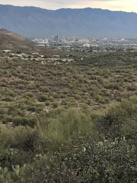 Nice views of Tucson