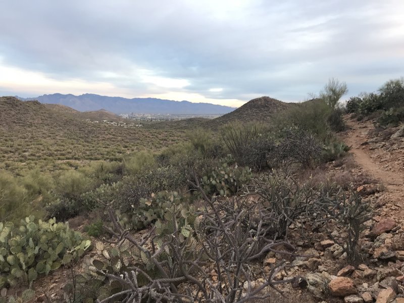 Views of Tucson to the east