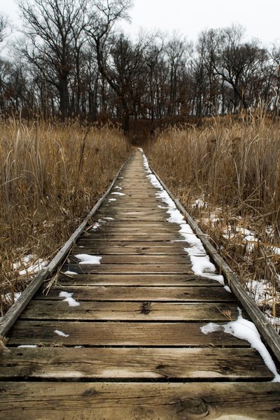 Boardwalk