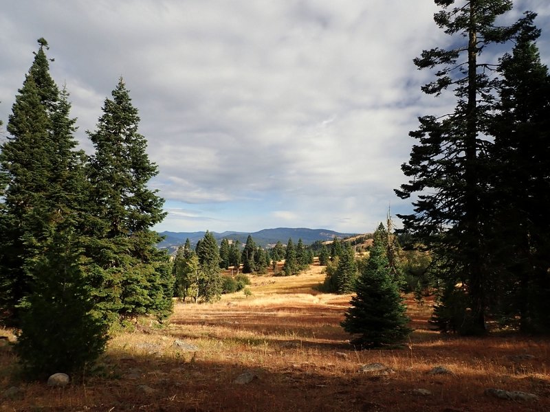 A meadow and small pond along the PCT