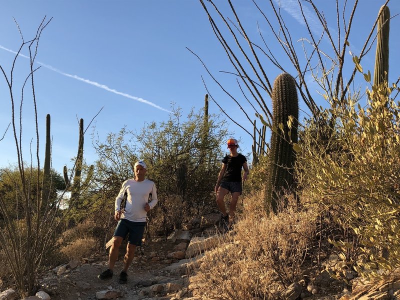 Starting out the Pontatoc Trail