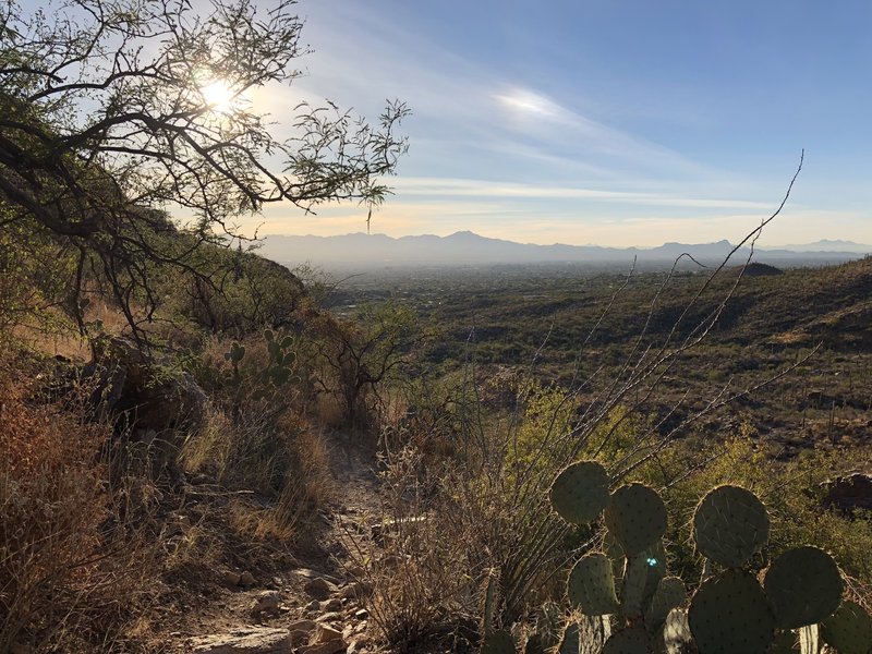 Great views over Tucson