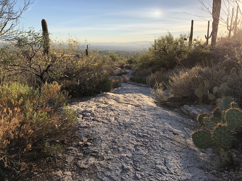 Nice sunset over Tucson