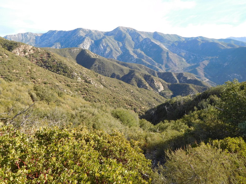 View from Smith Mountain Saddle looking east towards Hawkins Ridge.