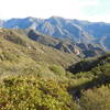 View from Smith Mountain Saddle looking east towards Hawkins Ridge.