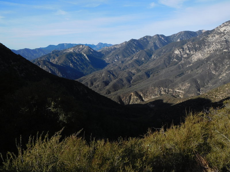 View from Smith Mountain Saddle looking southwest towards Mt. Wilson.