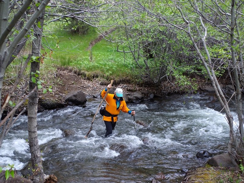 Crossing Little Blitzen Creek