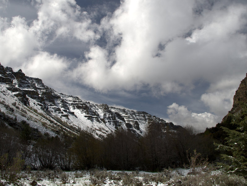 Looking down-canyon in Little Blitzen