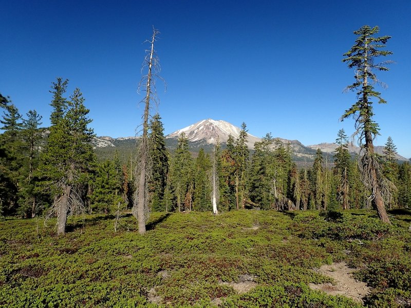 Mount Lassen from the trail junction