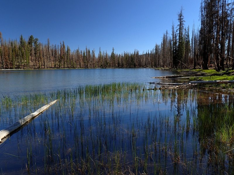 Big Bear Lake