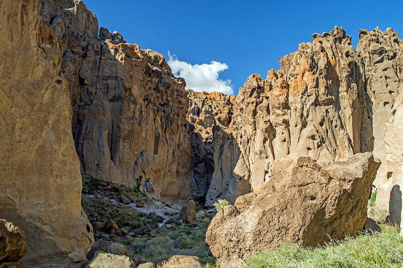 Looking back up Banshee Canyon on the Rings Loop Trail.