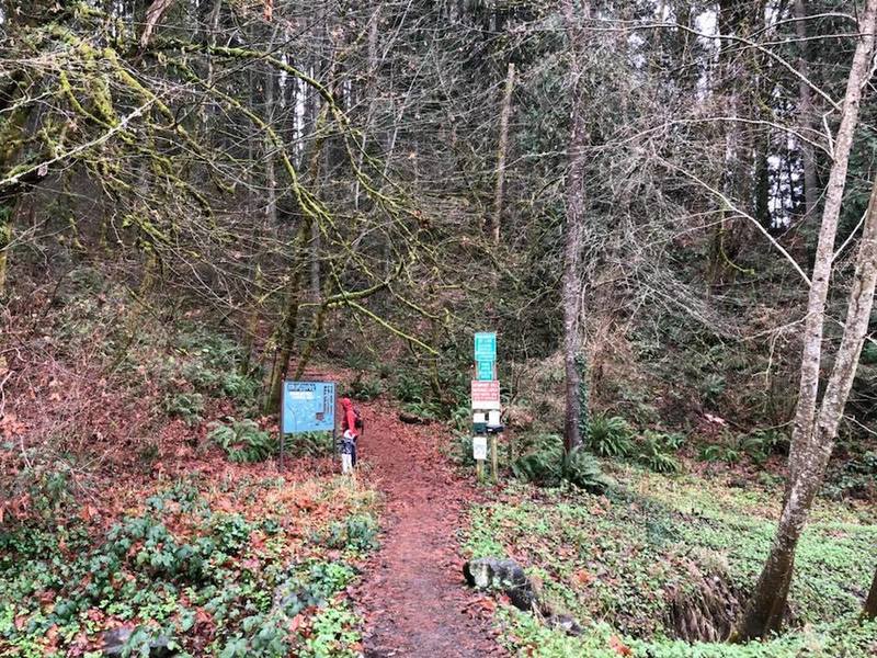 Entry into the trail system with trailhead signage.