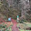 Entry into the trail system with trailhead signage.