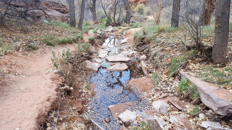 The Creek Next to the Trail