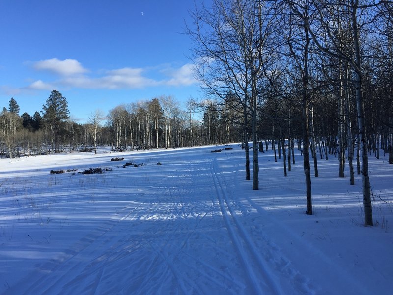 Groomed trail on the B loop