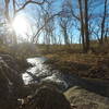 Photo of creek along nature trail.