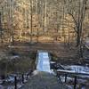 Bridge over Trout Brook