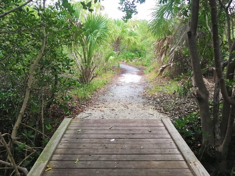 Several small bridges help crossing on Boy Scout Trail.