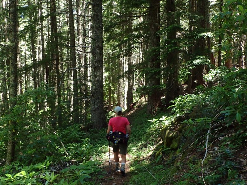 On the Salmon Lakes Trail