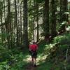 On the Salmon Lakes Trail