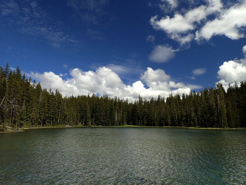 Waldo Lake at Shadow Bay