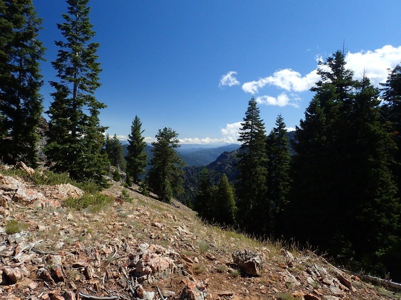 Where the trail reaches the ridge and levels out some