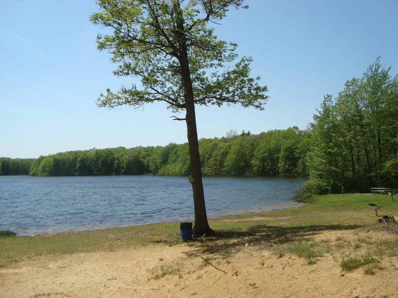 Springtime at Ely Lake at Ely Lake Campground which is a stop-over on the Wakazoo Trail.