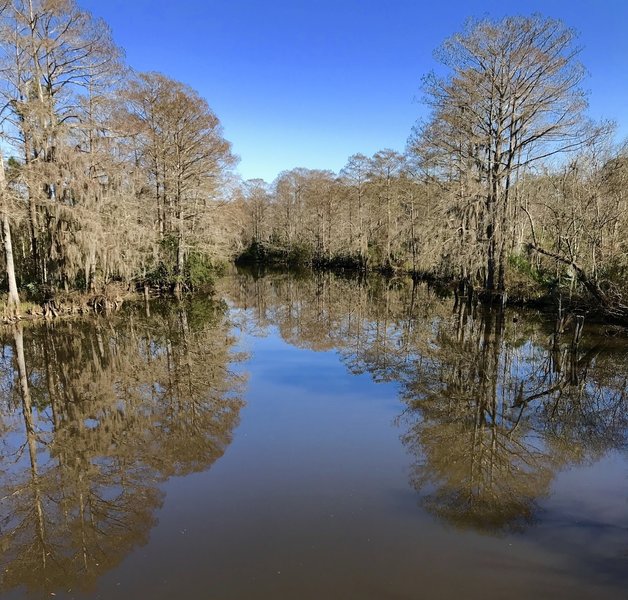 Reflection off of the Bogue Homa