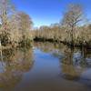 Reflection off of the Bogue Homa