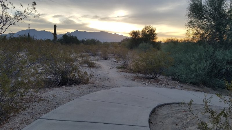 Trail starts at the curve of sidewalk entry