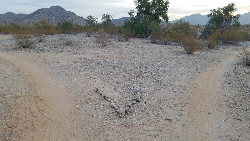 Trail well organized with markings for splits in path along with trail post markings