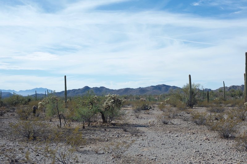 Looking out into the desert, you can see the mountains to the South.