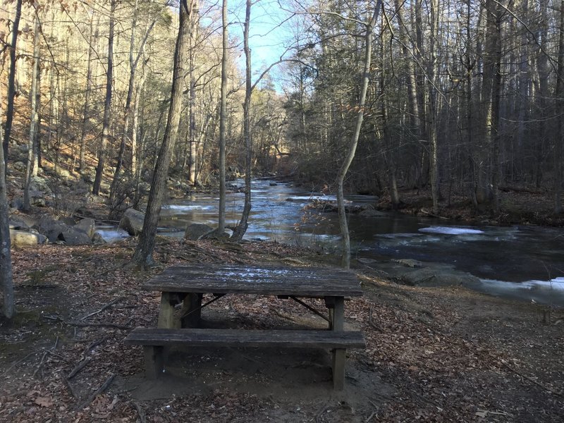 Picnic area near Black River