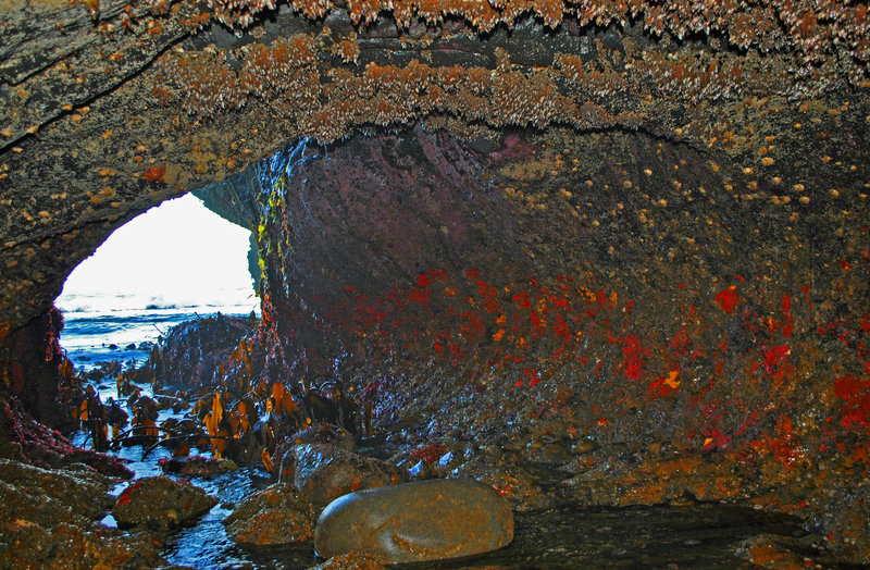 Cave reminds me of Montro's belly. The waves are very mild, so it is easy to climb down into the cave and wade to the far entrance.