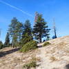 Shady spot where trail reaches main ridge.