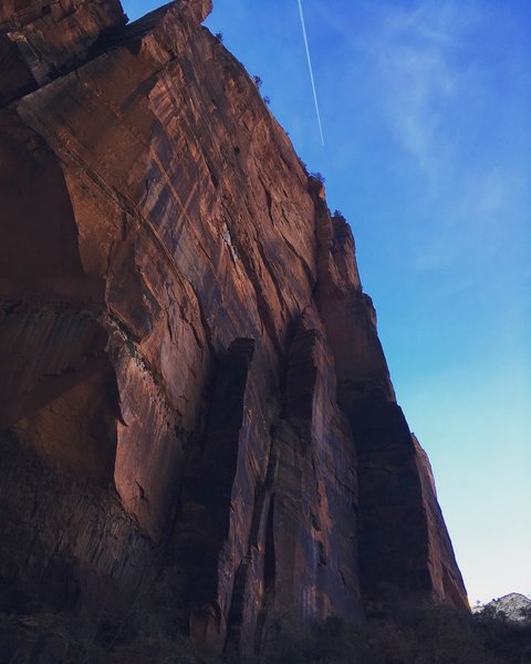 Zion, Upper emerald pool, looking up