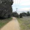 The trail as it leaves the road.  The creek is on the left hand side and the field/meadow starts to open up on the right.