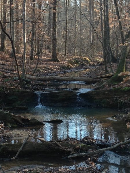 The small waterfall on Pickett's Creek.