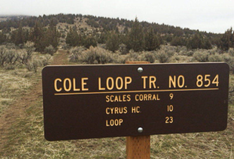 Cole Loop Trail No. 854