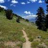 The Wright Lake Trail gains the ridge