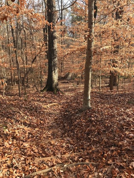 Looking down toward the bridge on the Woodland Slope Trail