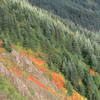 Even when you miss the summer wildflowers, fall provides another colorful hiking opportunity.