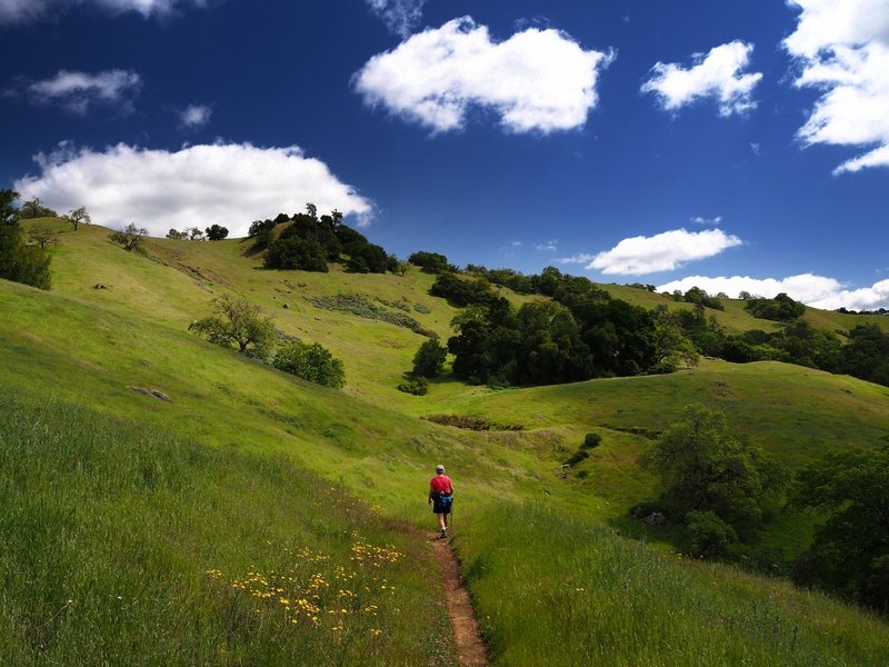 Along the Grizzly Gulch Trail